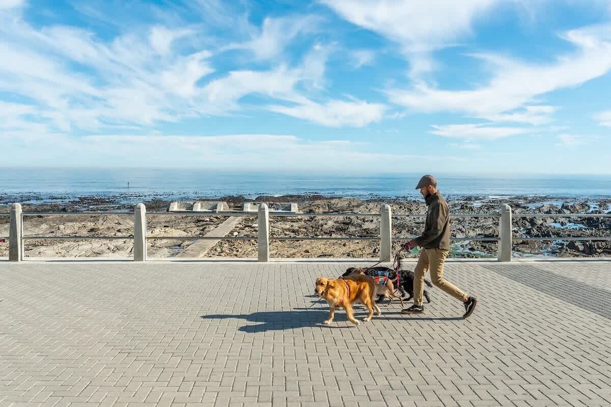 Een geplaveid pad met een leuning, een persoon die een hond uitlaat, en uitzicht op de oceaan.