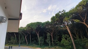 Ein Balkon mit Blick auf eine Straße und Bäume.