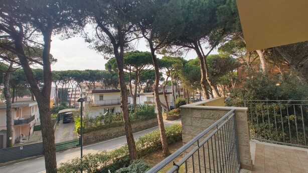 Un quartier résidentiel avec des arbres, une route et des bâtiments.