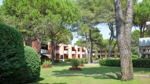 A courtyard with neatly trimmed hedges, a central palm tree, and a building with balconies. - Perfect flat with garden and pool access (Bibione)