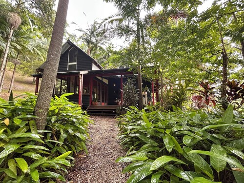 Hidden among lush rainforest and towering palms, a charming family retreat