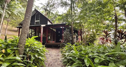 Hidden among lush rainforest and towering palms, a charming family retreat