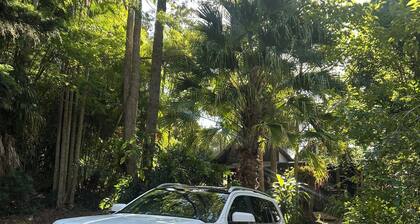 Hidden among lush rainforest and towering palms, a charming family retreat