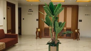 Eine Lobby mit einer großen Kübelpflanze, zwei Holzstühlen, einem Holzeingangsbereich und einem Schild, das die 2. Etage anzeigt.