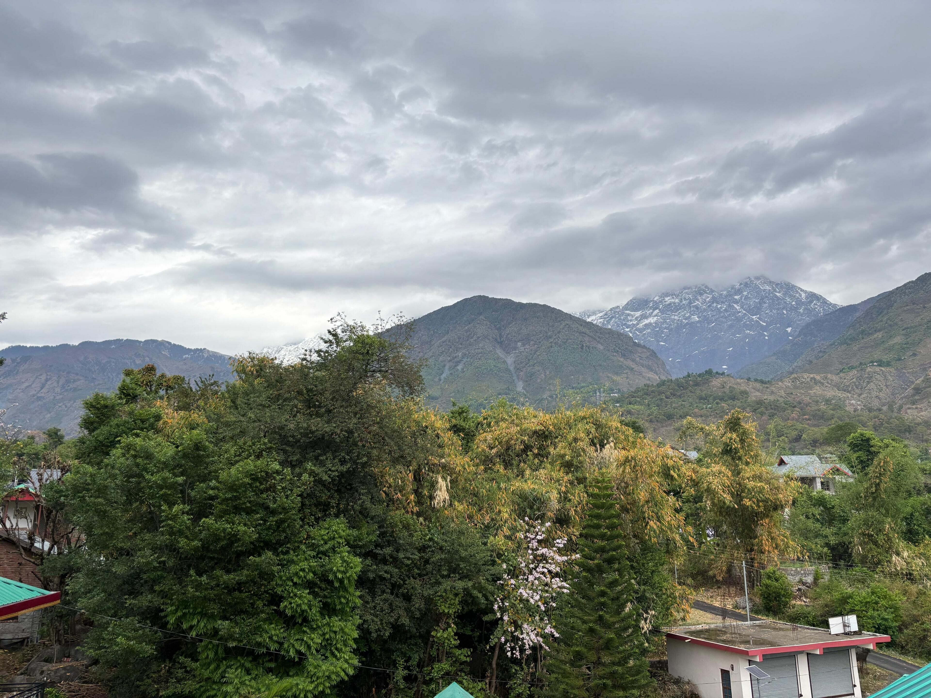 Suite familiar, balcón, vistas a la montaña | Miscelánea