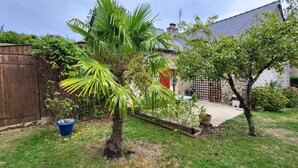 Een achtertuin met een palmboom, een houten tuinhuis en een stenen gebouw.