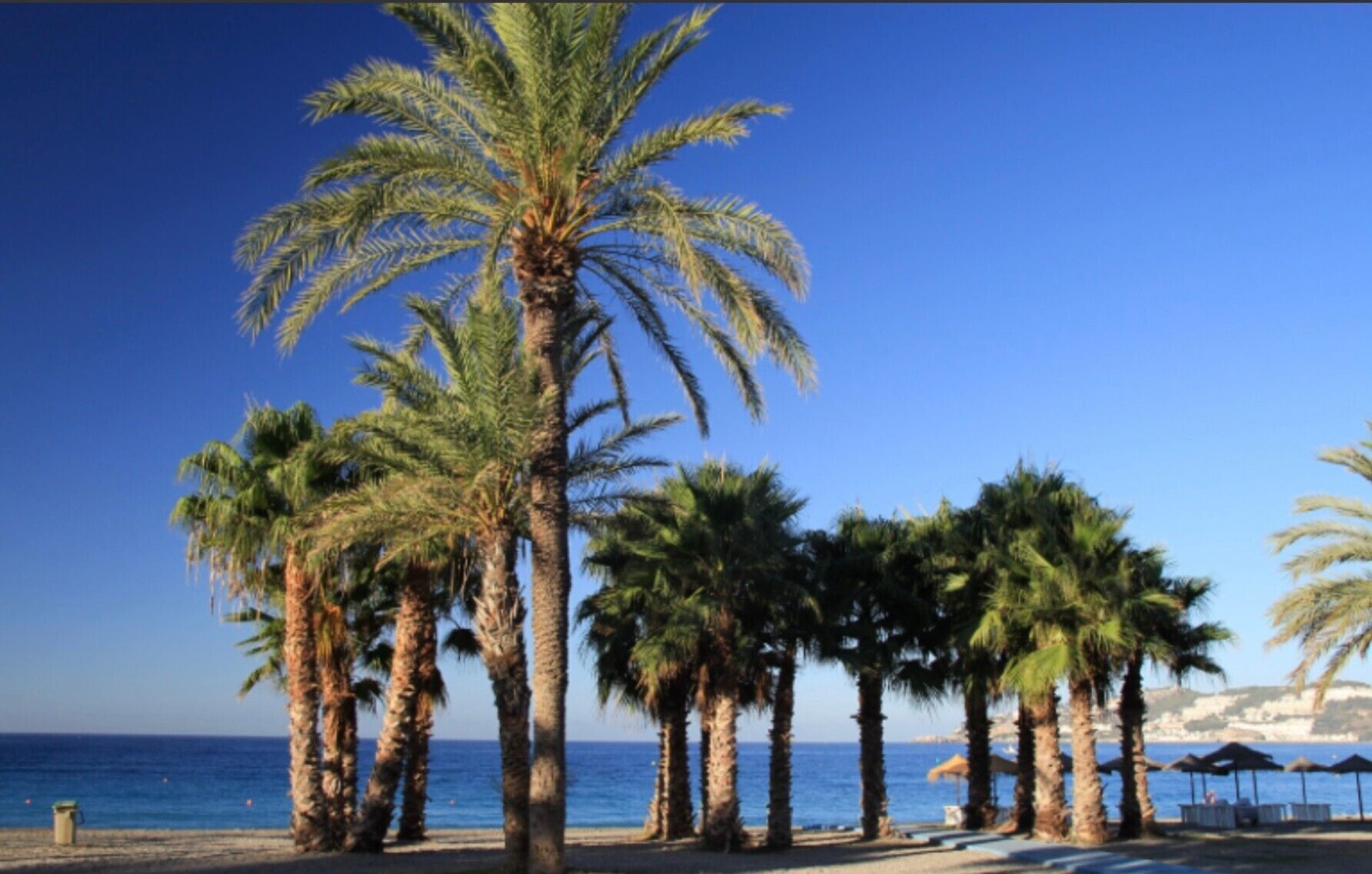 Nära stranden