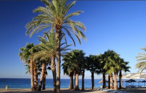 Una playa cerca