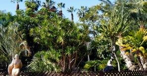 Property grounds - Apartment 'Portichuelo Majuelo' with Wi-Fi and Air Conditioning (Almuñécar)