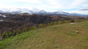 Un paysage montagneux avec des sommets enneigés et un champ herbeux.
