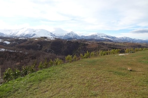 A mountainous landscape with snow-capped peaks and a grassy field. - Apartment in Montefortino With Communal Pool (Montefortino)
