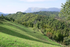 Classic Apartment, 3 Bedrooms | View from property - Apartment in Montefortino With Communal Pool (Montefortino)