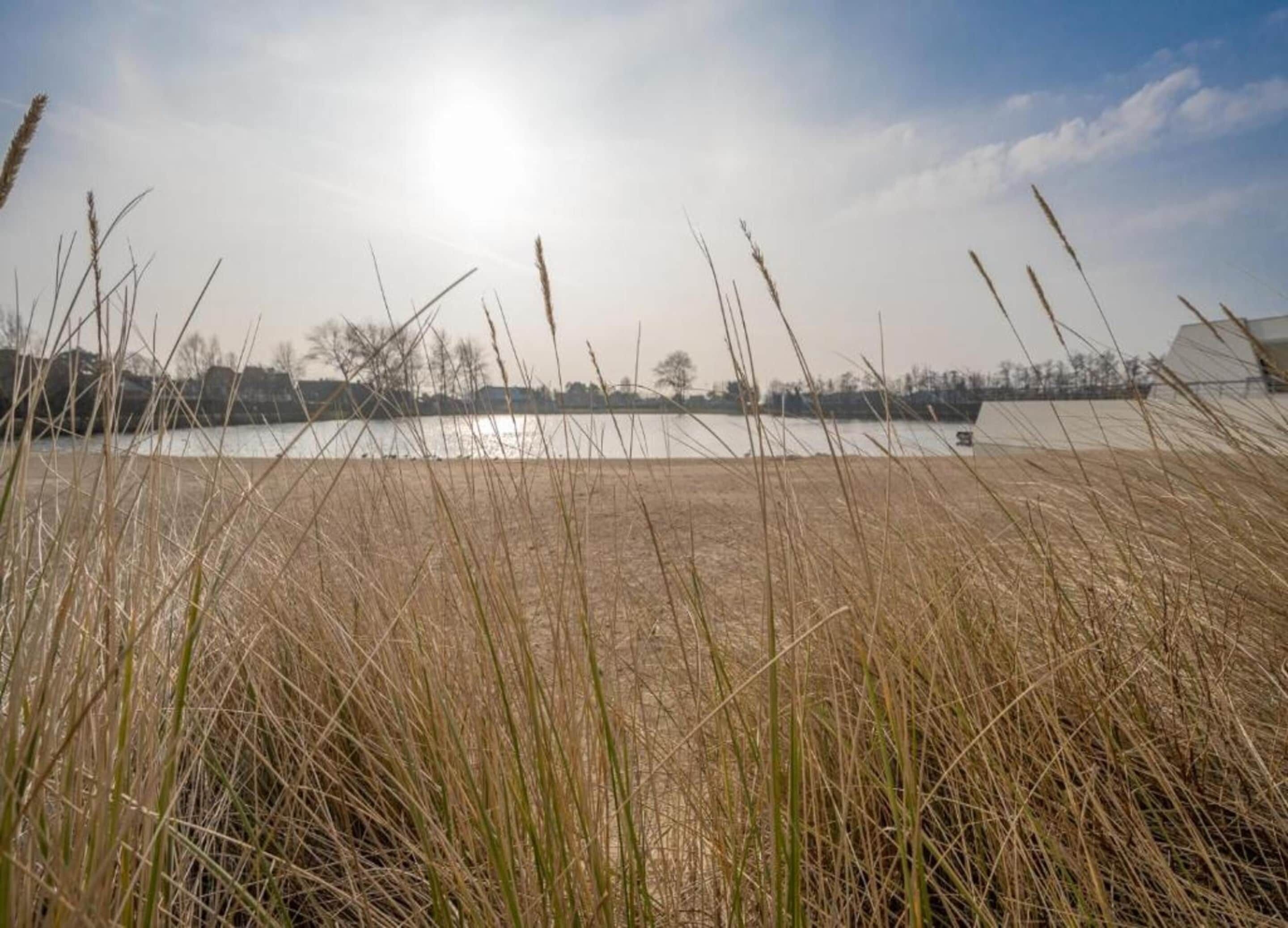 Un champ avec de hautes herbes et une étendue d’eau en arrière-plan.