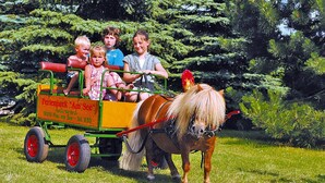 A horse-drawn carriage with children and an adult, surrounded by greenery. - Seepark Heidenholz, Plau am See (Plau am See)