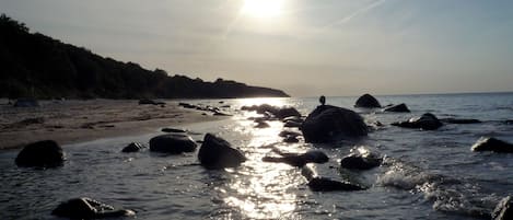 Playa en los alrededores y camastros