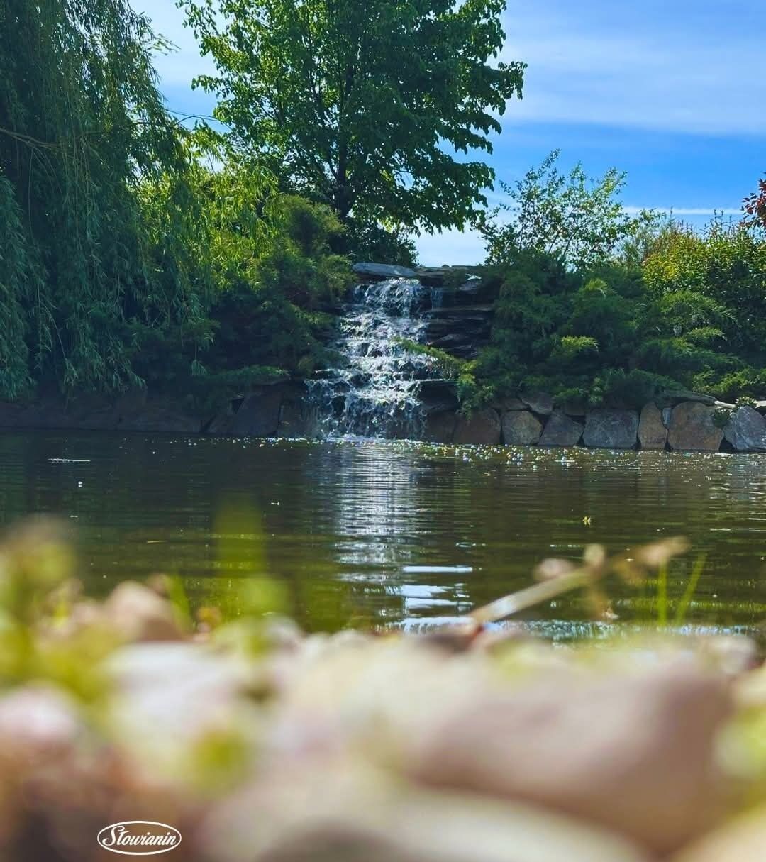 A waterfall in a natural setting with surrounding greenery.