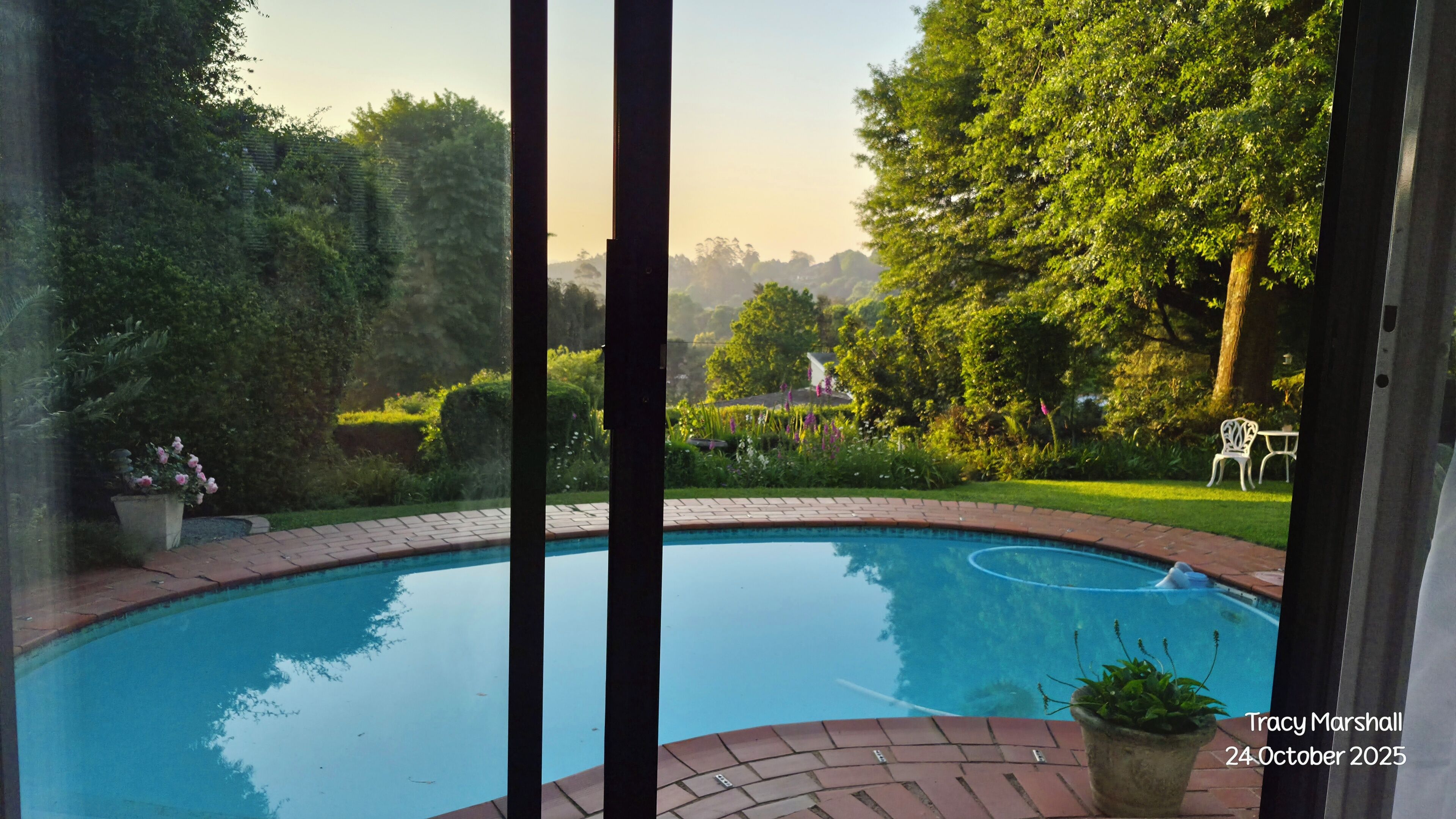 Garden view