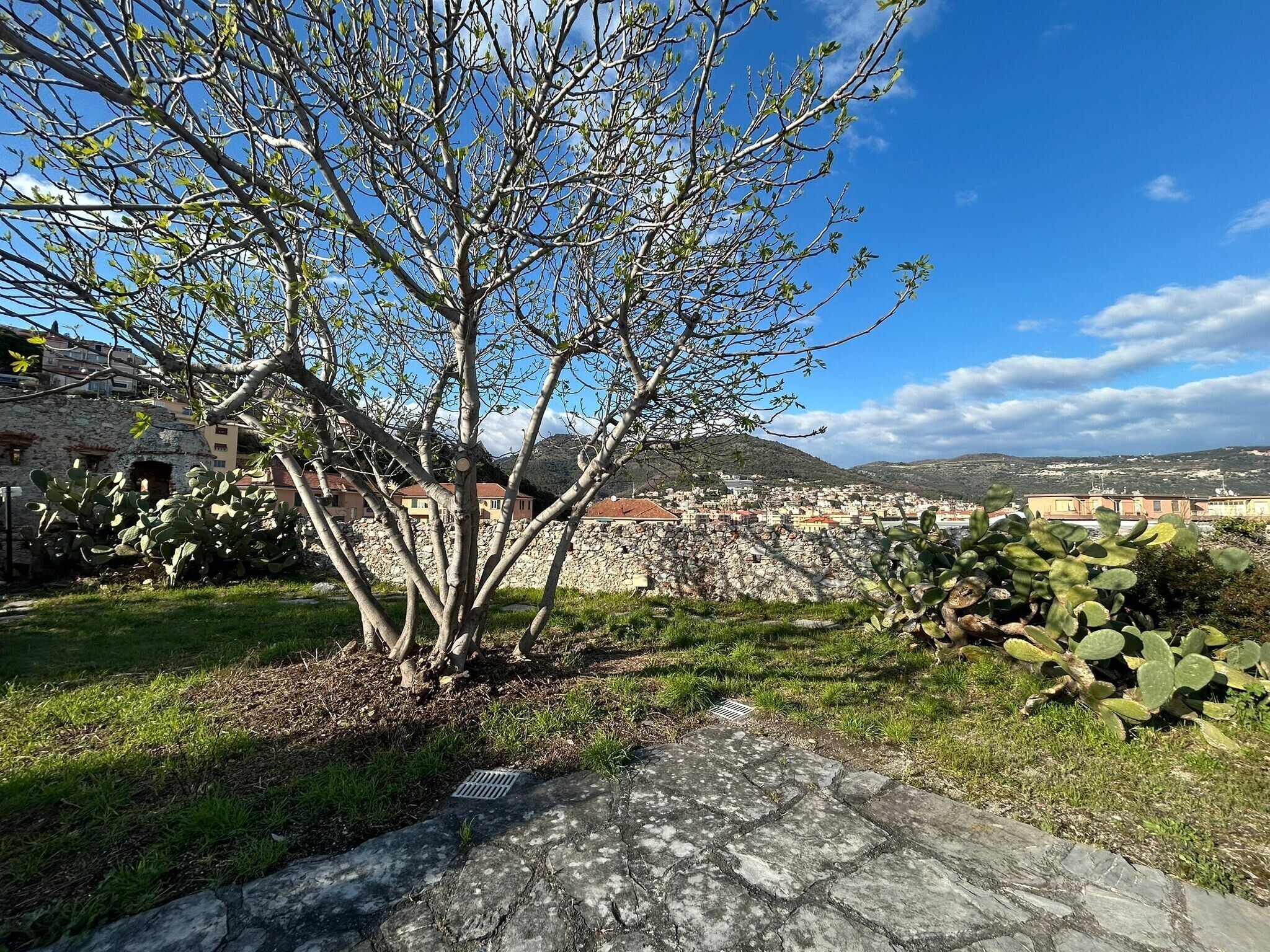 Terrain de l’hébergement 