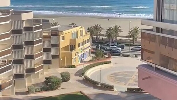 A view of a coastal area with buildings, a beach, and a seagull flying. - Mar Playa y Sol (Canet-en-Roussillon)