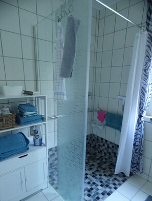 Shower, hair dryer, towels, soap