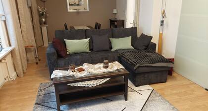 Newly renovated 84 sqm apartment just 2 minutes from the banks of the Rhine with terrace