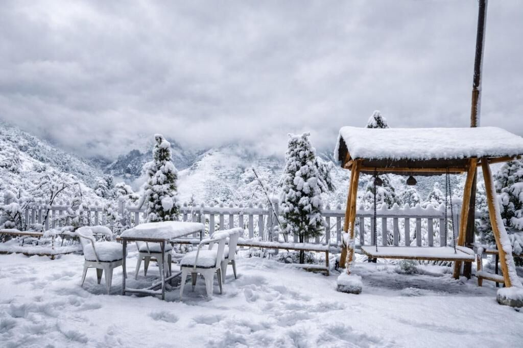 Suite, Mountain View | Outdoor dining