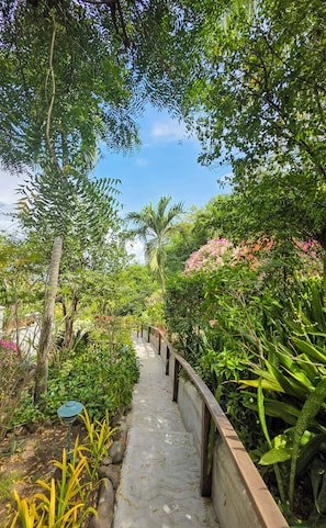 Un sentier bordé d’une végétation luxuriante et agrémenté de diverses espèces de plantes.
