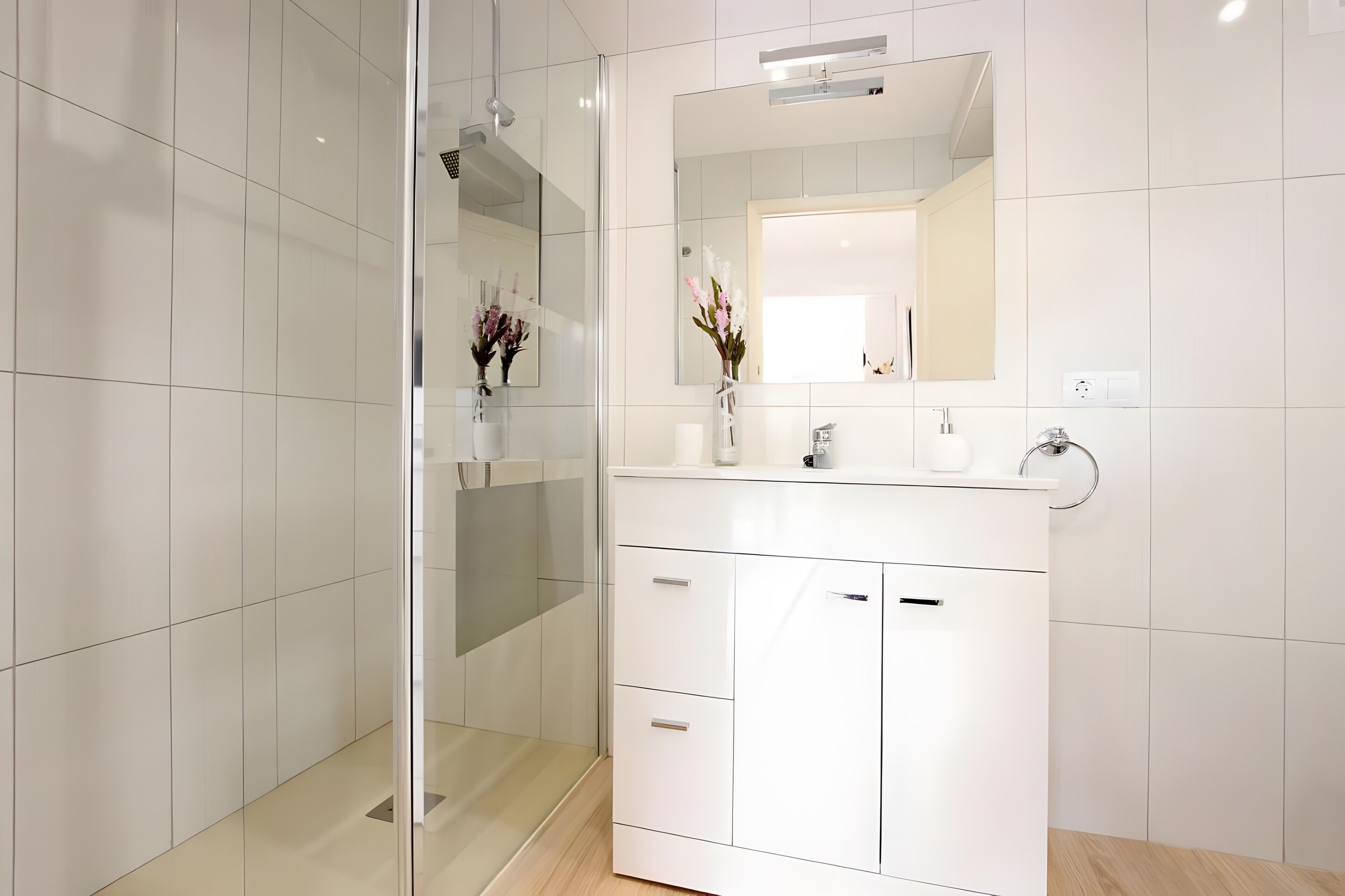 Shower, hair dryer, towels