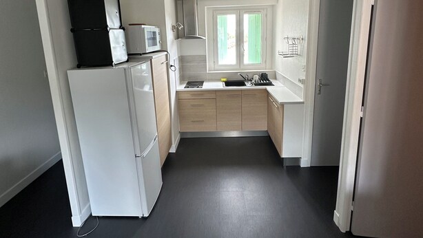 A compact kitchen with a refrigerator, microwave, and a sink. - Charming fully furnished T2 (Chavanay)