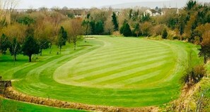 Golf - 3 Bed Barn - Sleeps 4 - Parking - Golf - Alpacas (Londonderry)