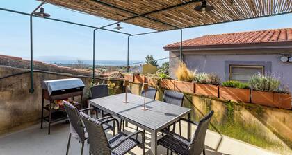 Asino Nero II - Seneghe