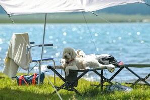 Pet-friendly - Serene 17-bedroom resort in Khatgal perfect for group getaways (Khatgal)