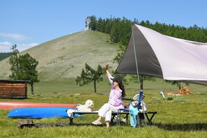 Een tent opgetrokken in een grasveld, met een persoon en een hond van binnen.