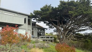 A modern house with a deck, surrounded by various shrubs and a large tree. - Starboard Sunset – Coastal Views, Hot Tub & Private Retreat (Bodega Bay)