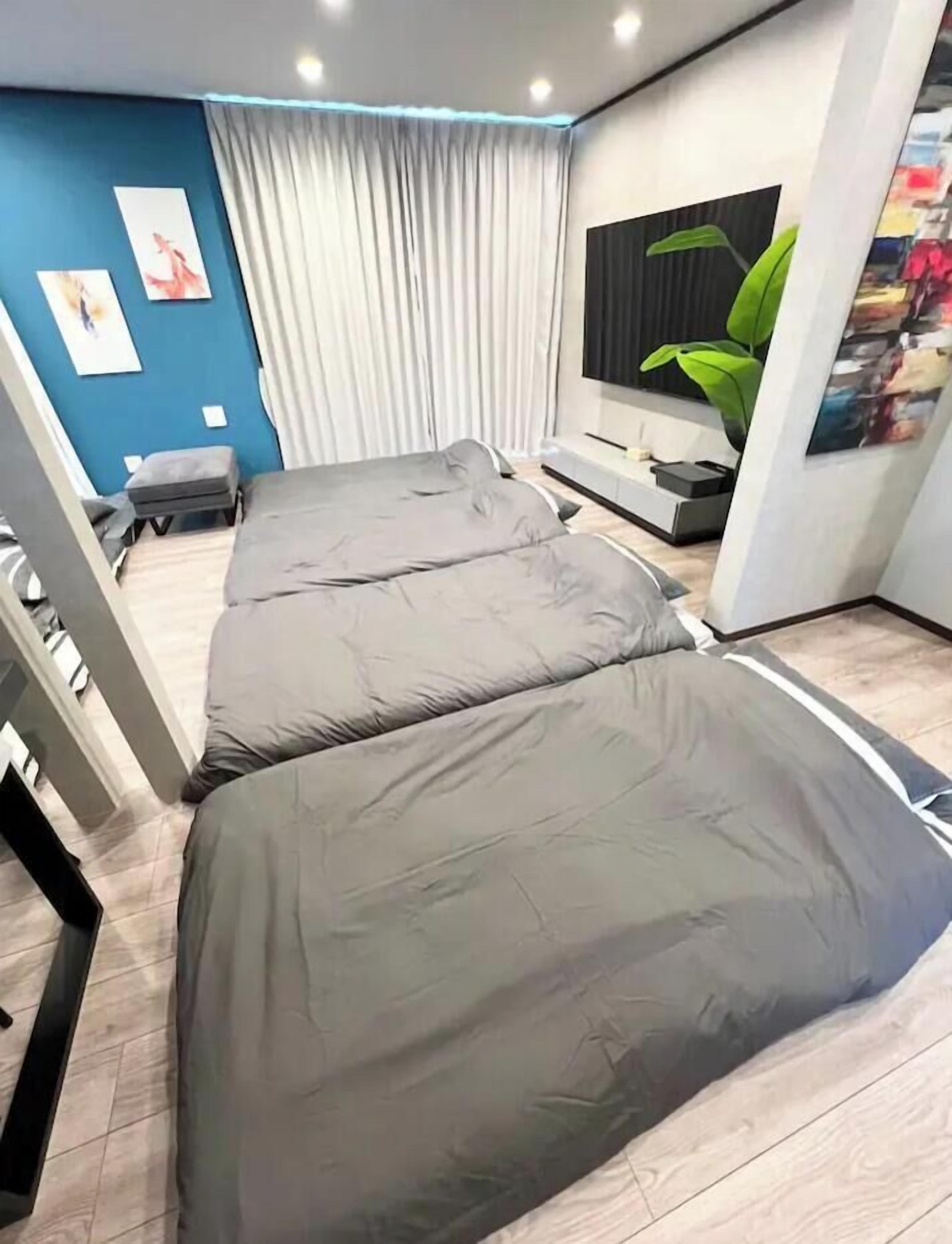A modern room with a large bed, a flat-screen TV, and a potted plant.