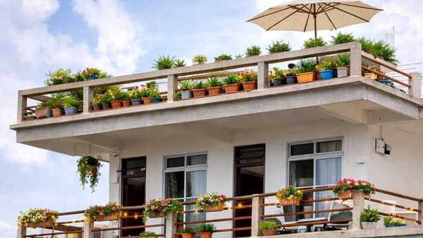 A multi-story building with balconies adorned with potted plants and outdoor seating. - LuxeHaven Homestay-a Peaceful Escape (Darjeeling)