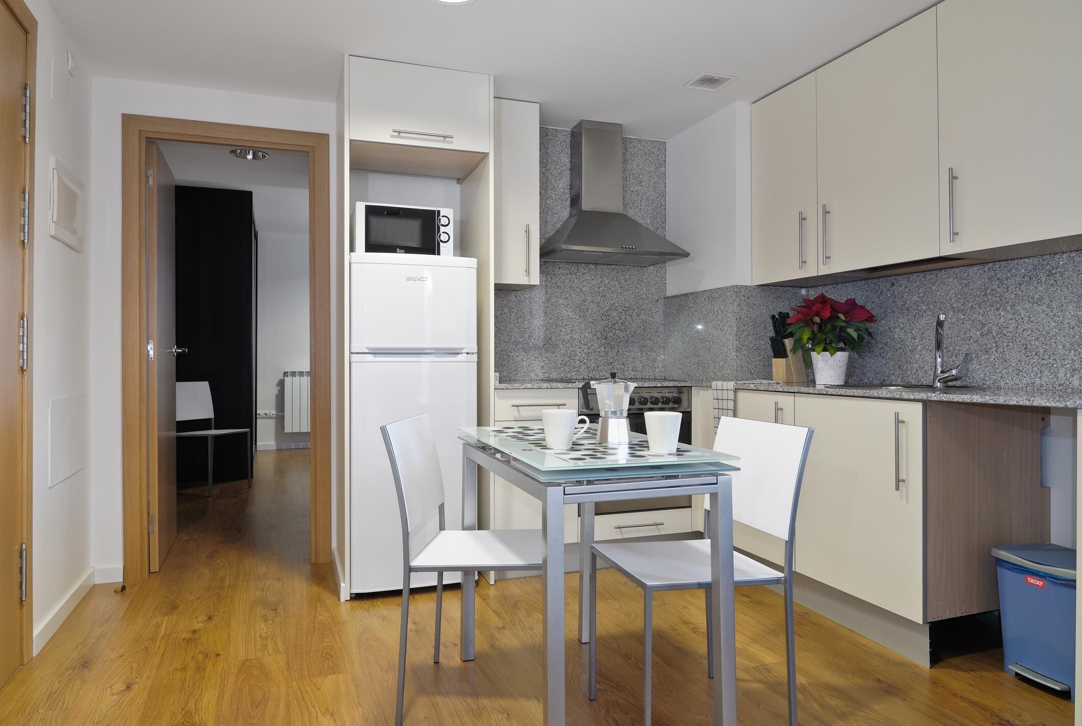 Apartemen Basic, 1 Tempat Tidur Double, pemandangan halaman | Dapur pribadi