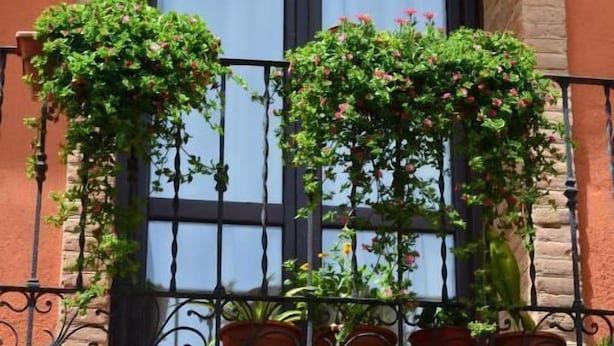 A building with a stone facade, a large window with a black frame, and a balcony with potted plants. - Apartamentos Los Sitios (Zaragoza)