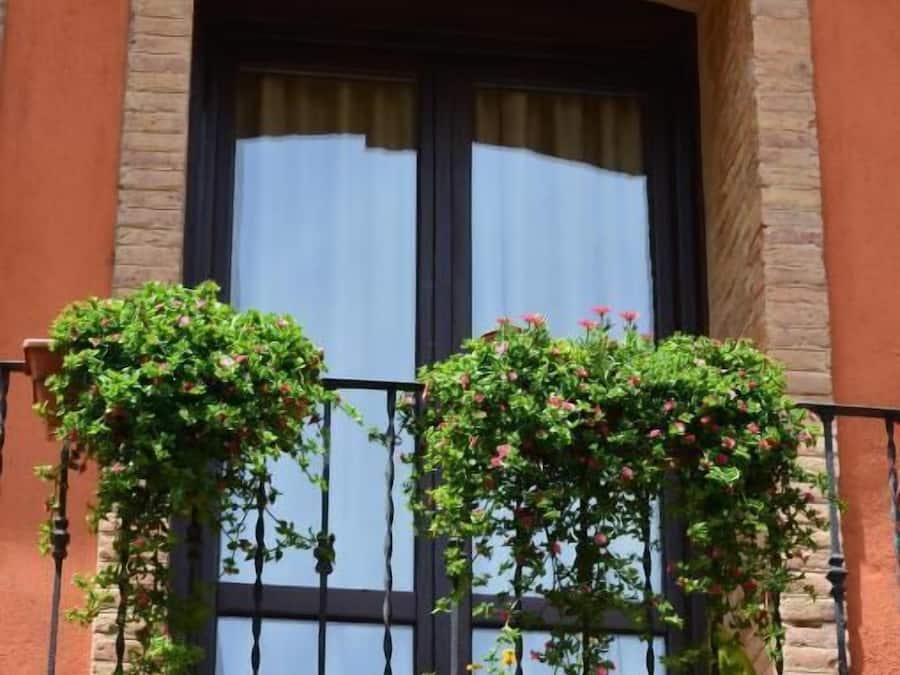 Detalle del exterior
