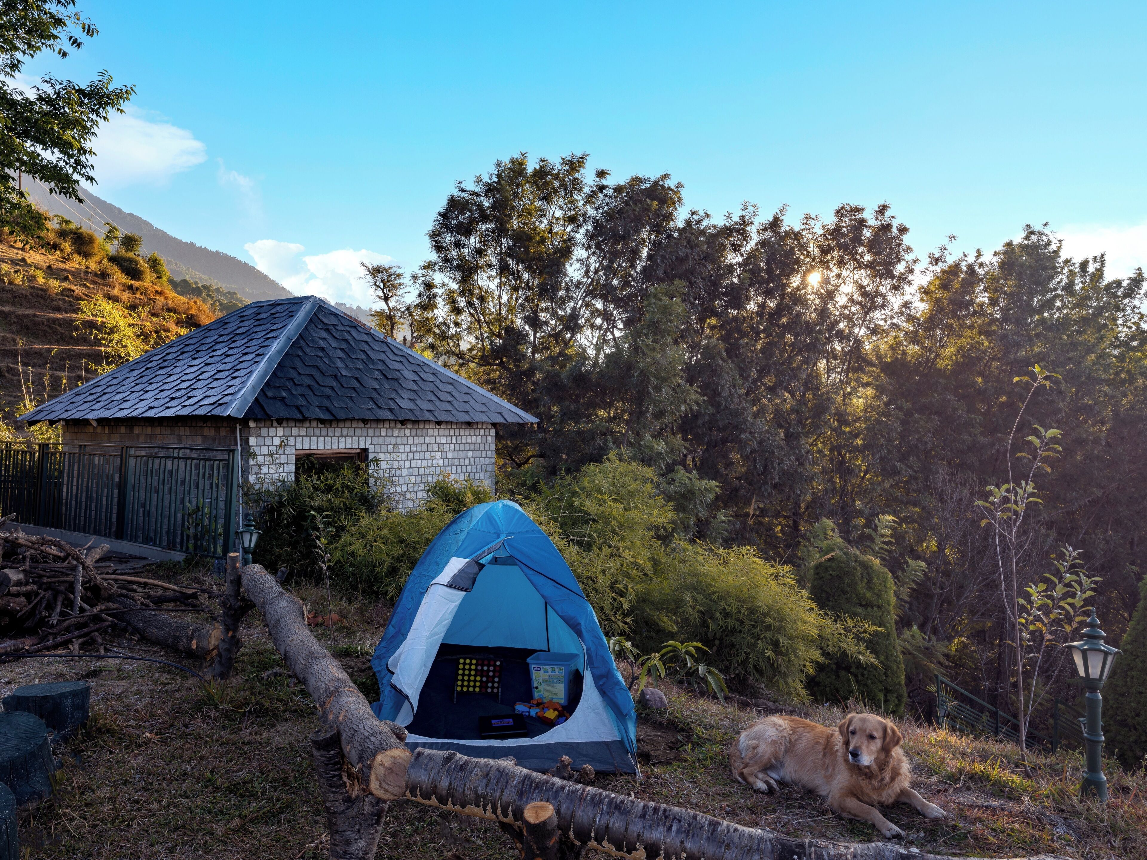 A tent and a small building with a sloped roof, surrounded by trees and a dog.