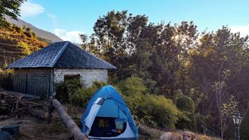 Een tent en een klein gebouw met schuin dak, omringd door bomen en een hond.
