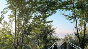 A wooden bridge in a forest with a clear view of the landscape beyond. - Rakkh Resort (Palampur)