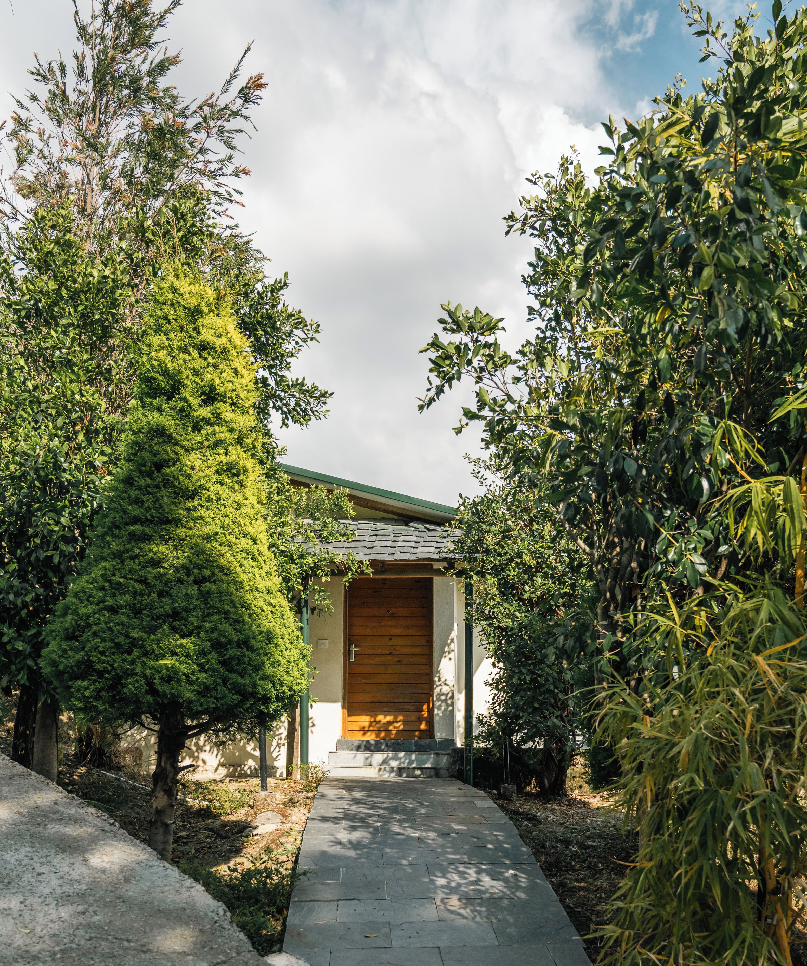 A pathway leading to a building with a wooden door, surrounded by lush greenery.