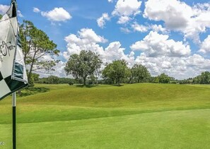 Golf - Golf Lovers Paradise in lovely St. Augustine (St. Augustine)
