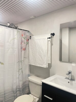 Dusche, Handtücher, Seife, Toilettenpapier