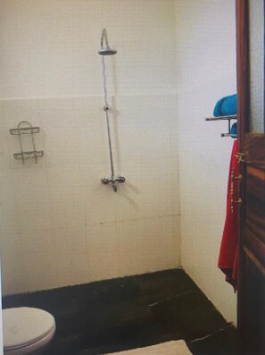 Shower, towels, soap, toilet paper