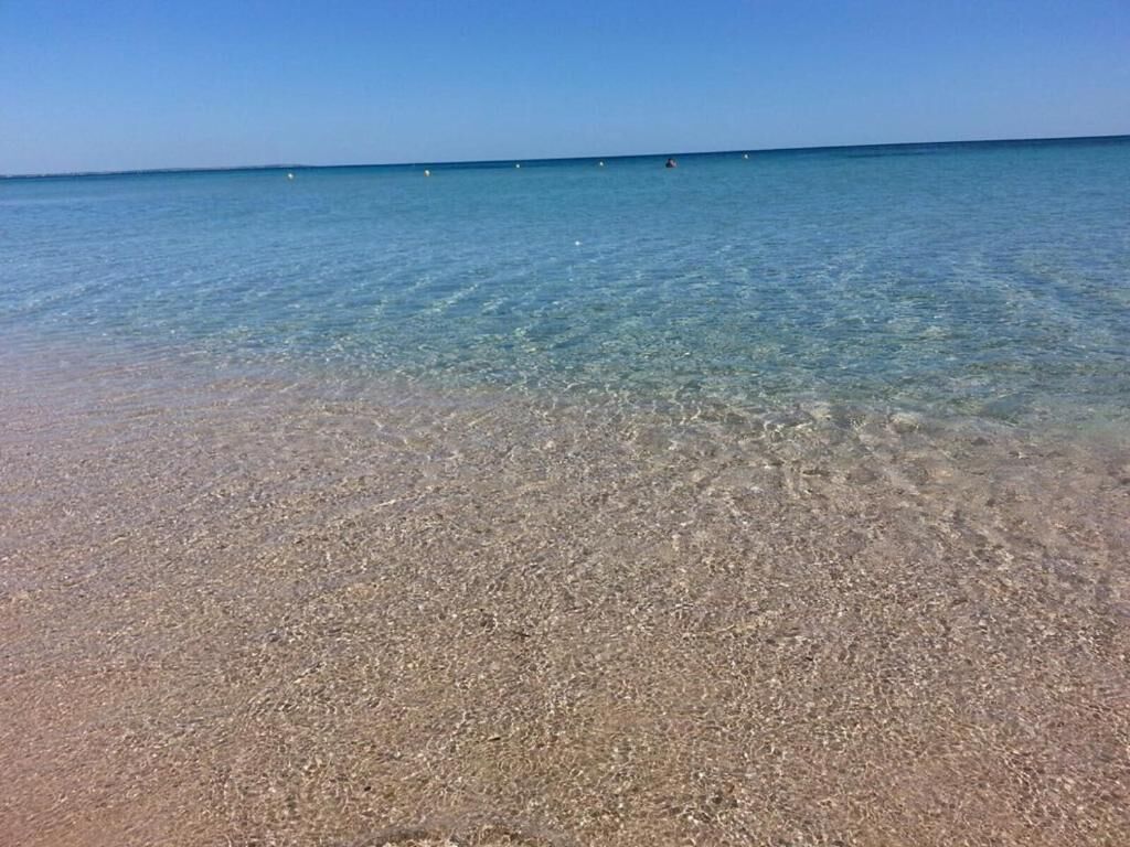 Hus - udsigt til have | Strand | Tæt på stranden, hvidt sand, 2 strandbarer
