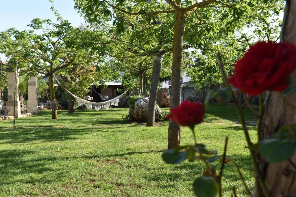 Khuôn viên nơi lưu trú