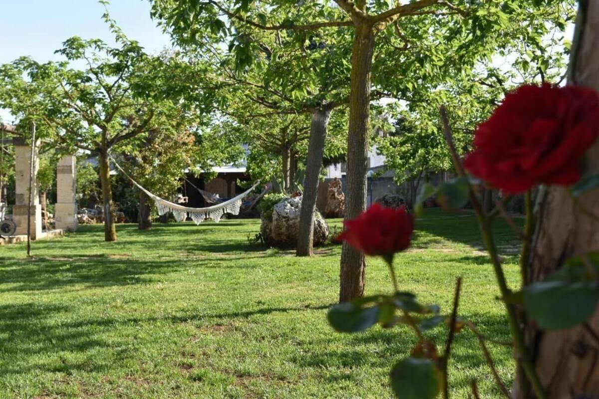 Un espace extérieur verdoyant, avec des arbres, un hamac et une statue.