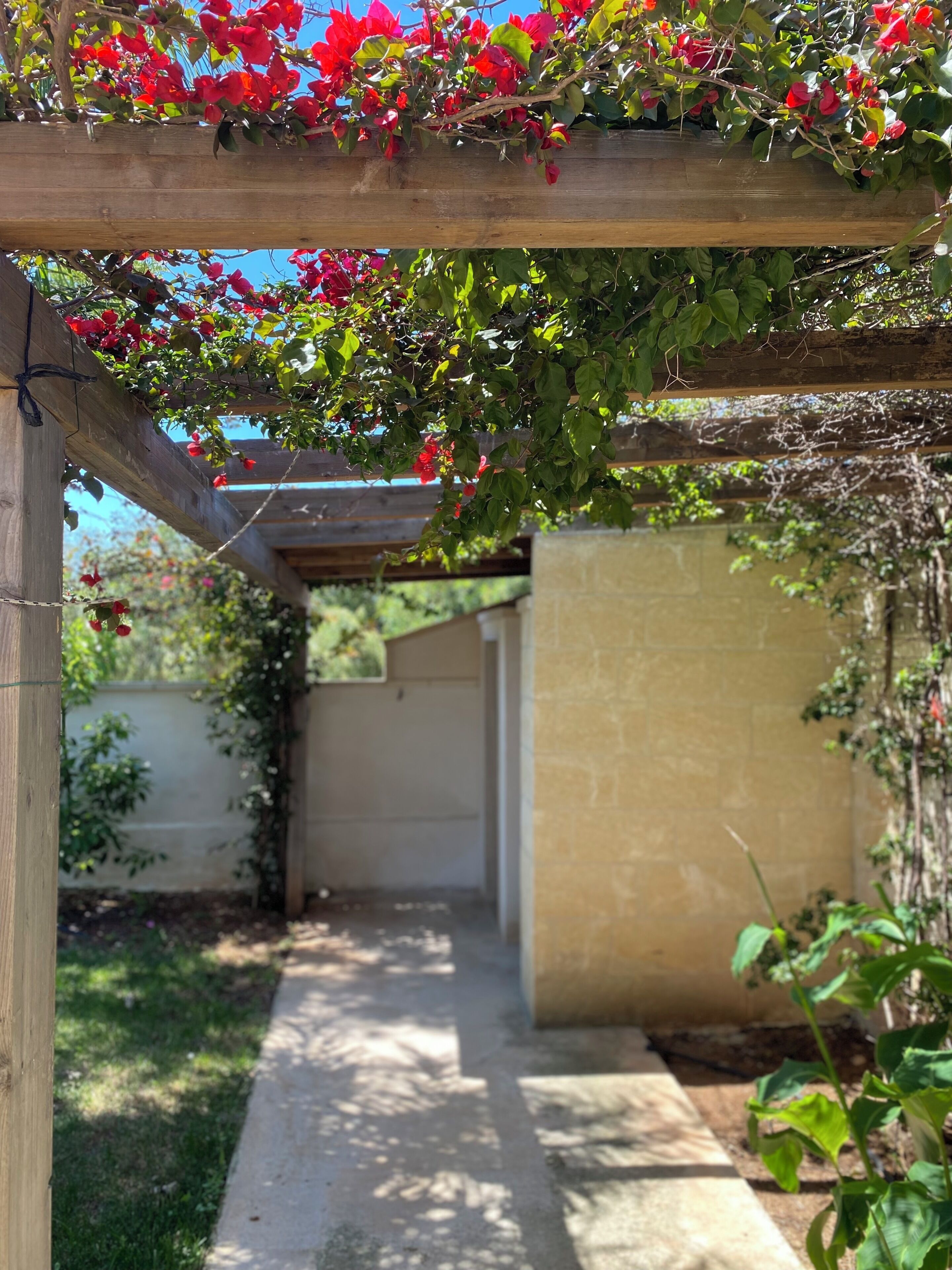Villa, vue jardin | Enceinte de l’hébergement